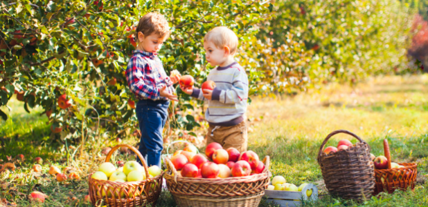 7 sensory-friendly fall activities for children