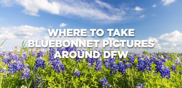 Where to take bluebonnet photos with your family this spring